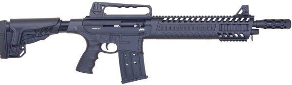target-arms-M16-01